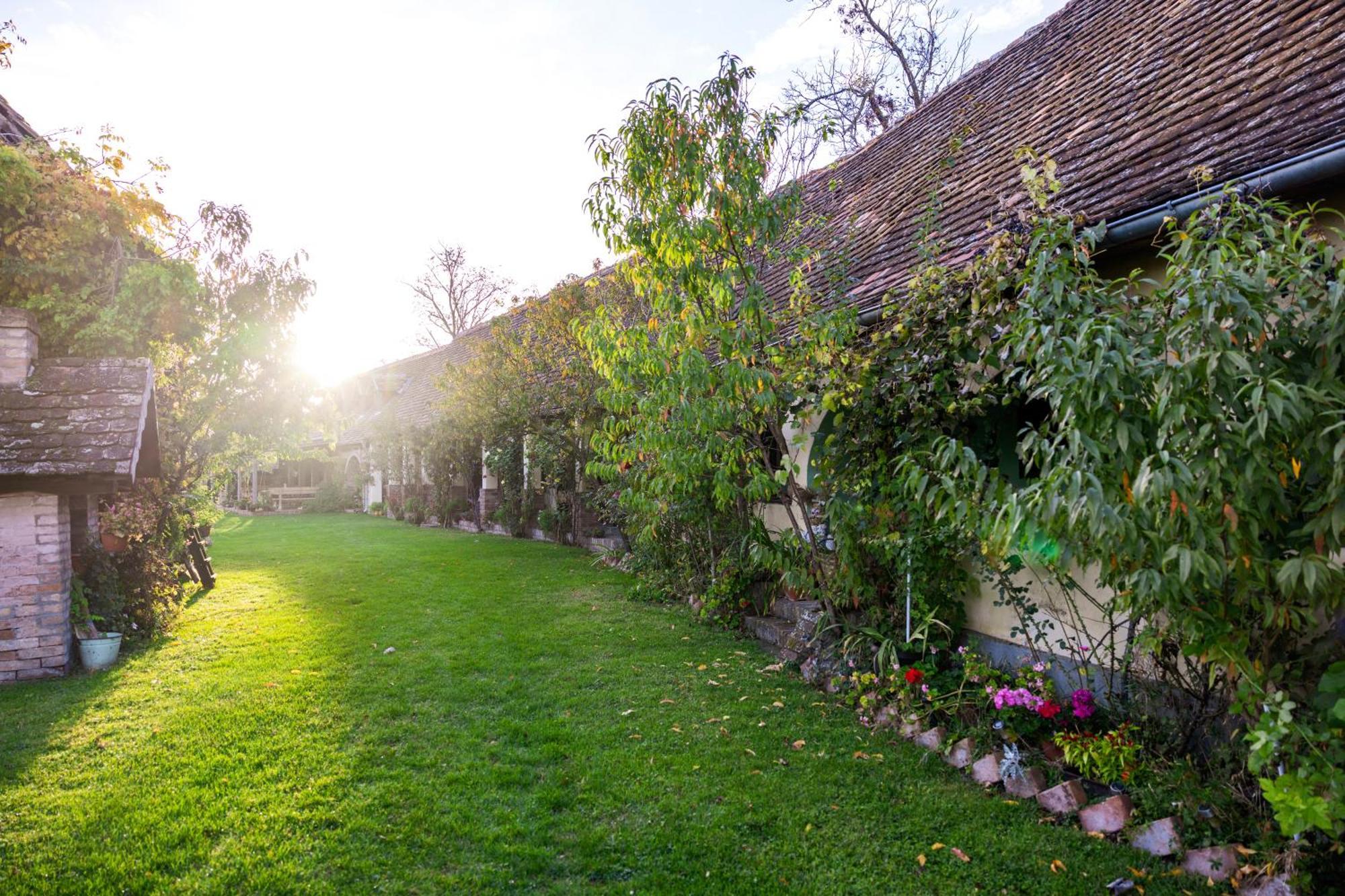 Bed and Breakfast Snasini Kucari Gradiste Экстерьер фото
